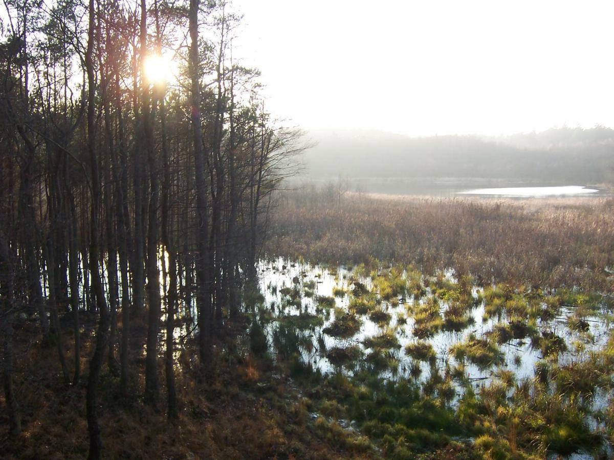 Villa Margolla Wronowo Dış mekan fotoğraf